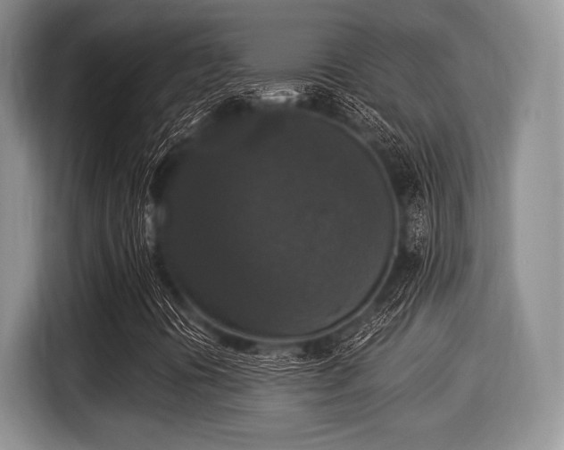 X0000116021394200911271106