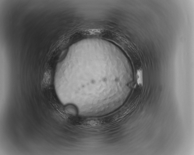 X0000116021395200911271106