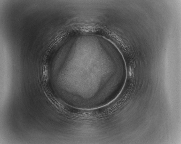 X0000116021396200911271106