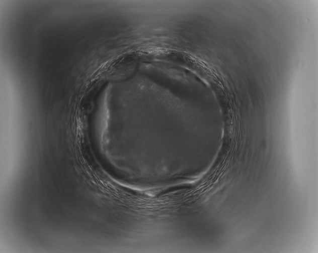 X0000116021397200911271106