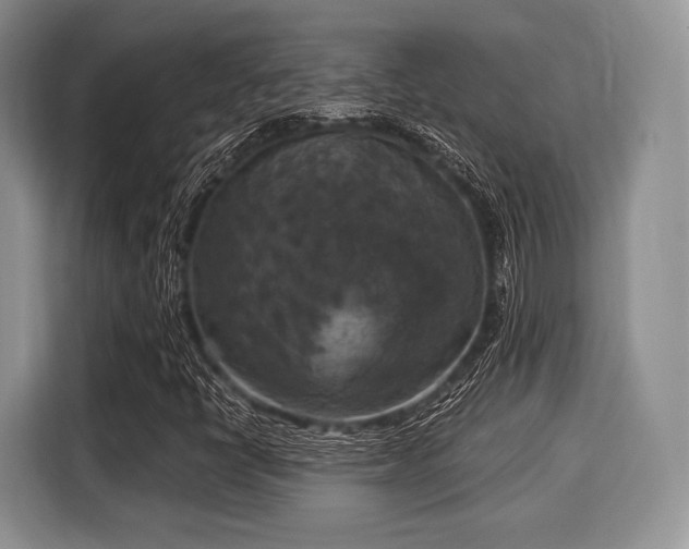 X0000116021398200911271106