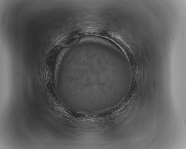 X0000116021399200911271106