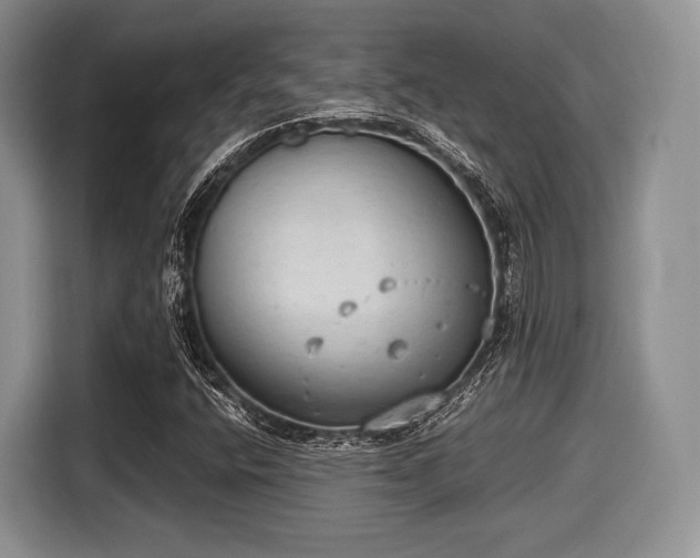 X0000116021400200911271106