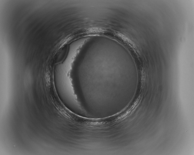 X0000116021401200911271107