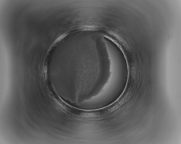 X0000116021402200911271107