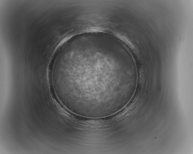 X0000116021404200911271107