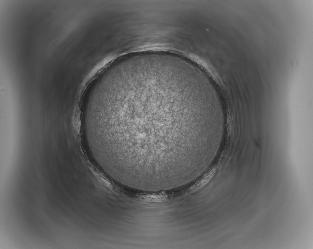 X0000116021406200911271107