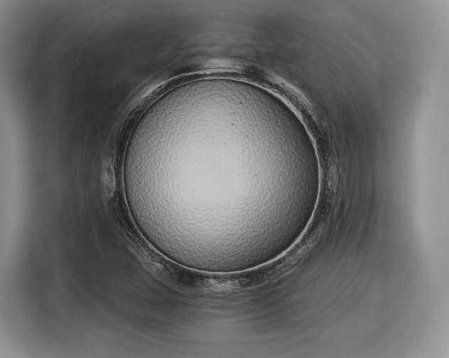 X0000116021407200911271107