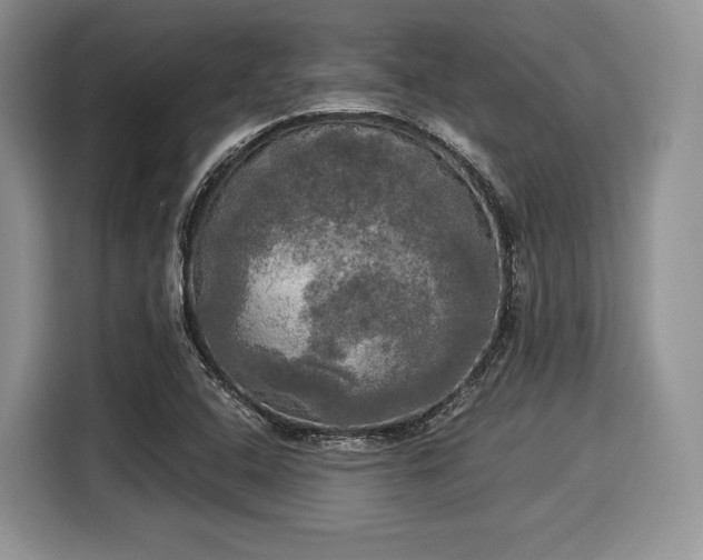 X0000116021408200911271107