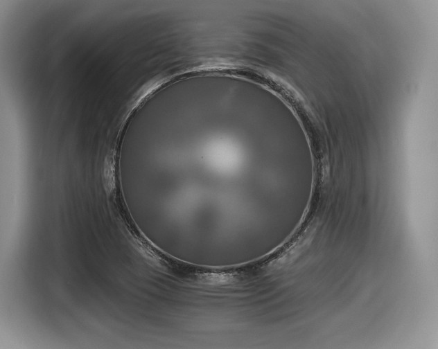 X0000116021409200911271107