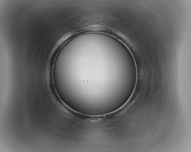 X0000116021410200911271107