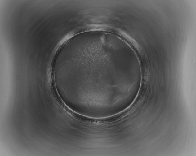 X0000116021411200911271107