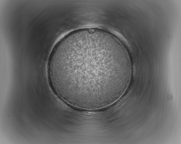 X0000116021412200911271107