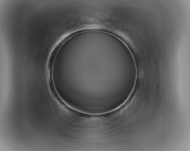 X0000116021414200911271107