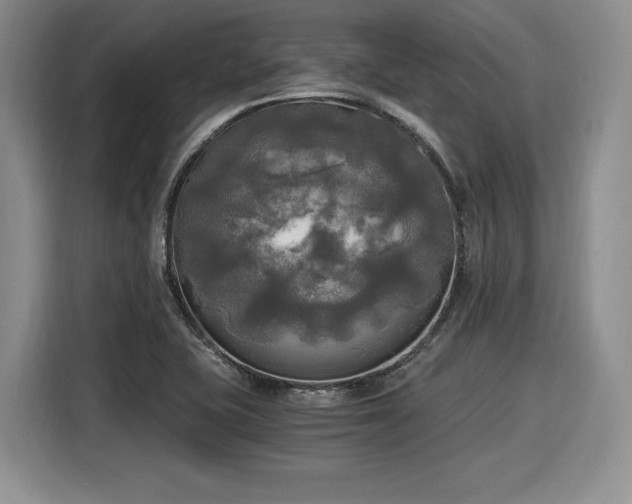 X0000116021415200911271107