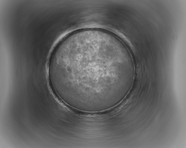 X0000116021416200911271107