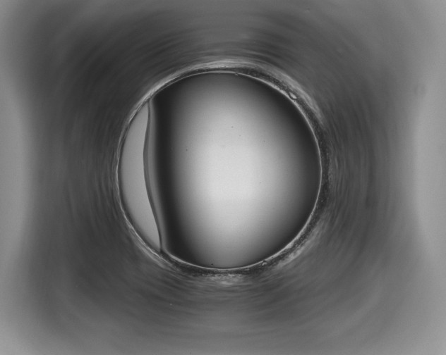 X0000116021417200911271107