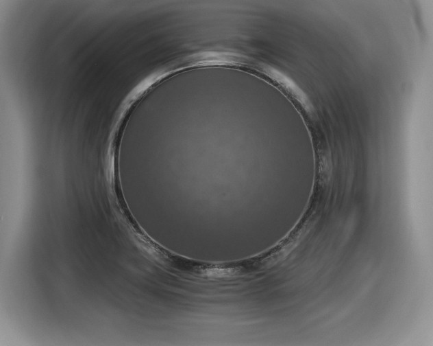 X0000116021419200911271107