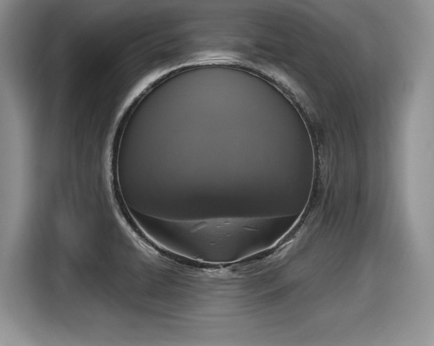 X0000116021422200911271107