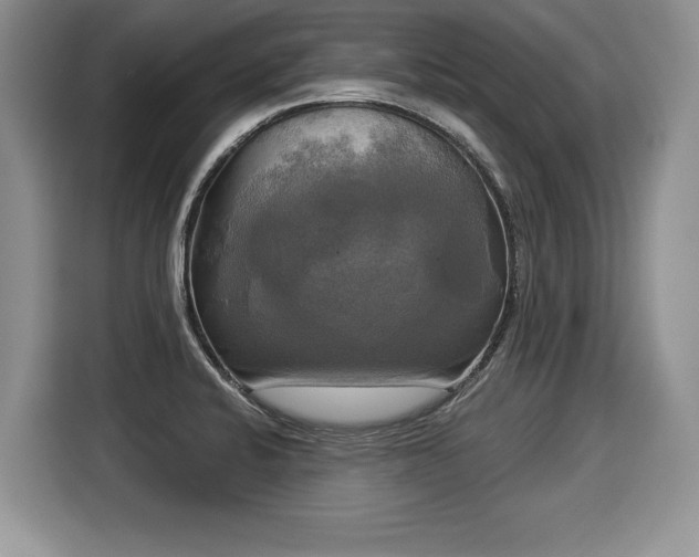 X0000116021424200911271107