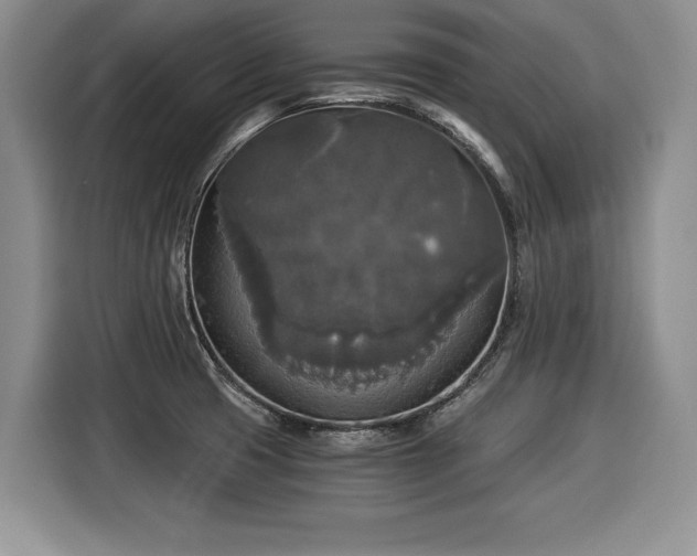 X0000116021425200911271107