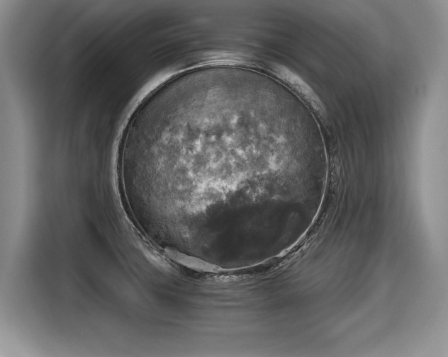 X0000116021427200911271107