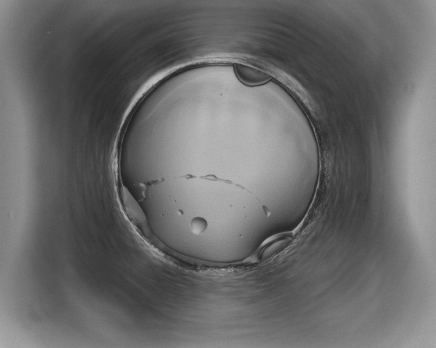 X0000116021428200911271107