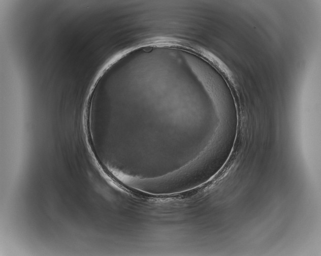 X0000116021429200911271107