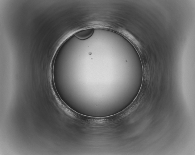 X0000116021431200911271107