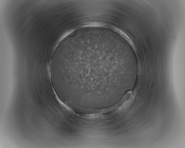 X0000116021433200911271107