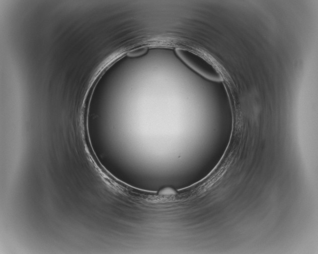 X0000116021434200911271107