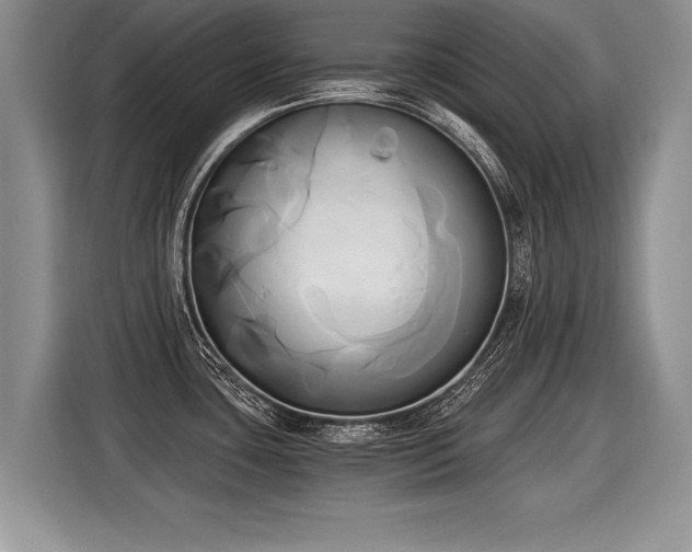 X0000116021435200911271107