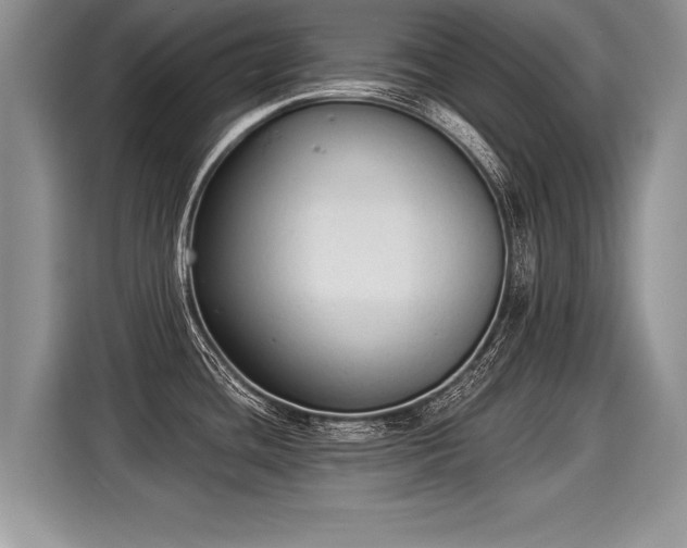 X0000116021436200911271107