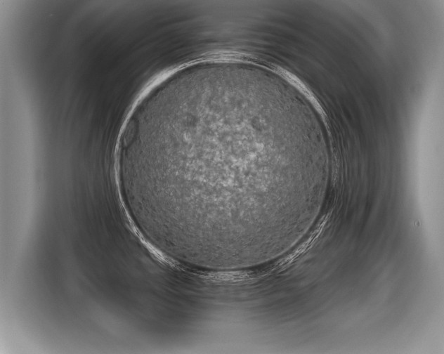 X0000116021437200911271107