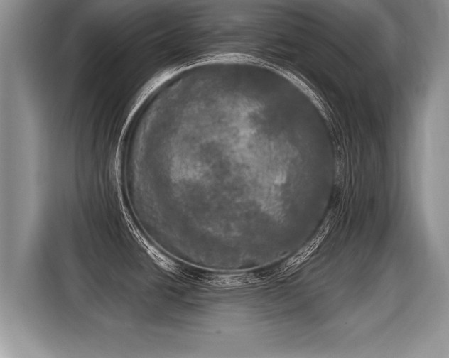 X0000116021438200911271107