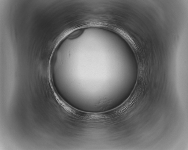 X0000116021439200911271107