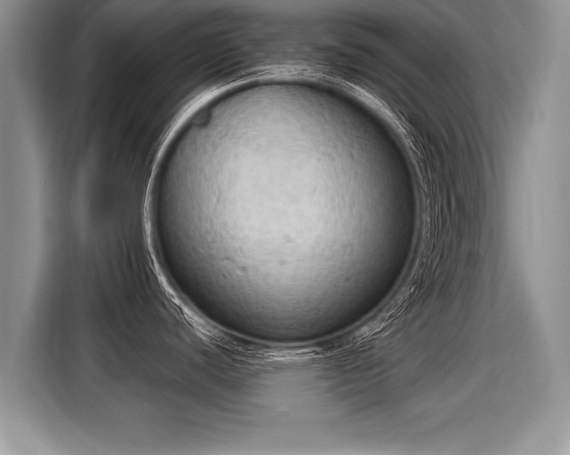 X0000116021440200911271107