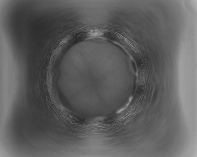 X0000116021441200911271106