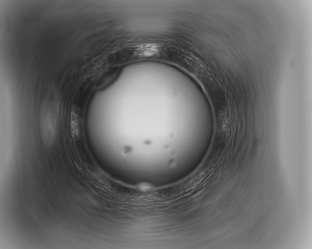 X0000116021442200911271106