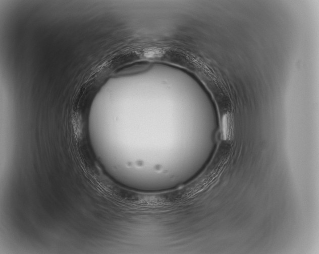 X0000116021443200911271106