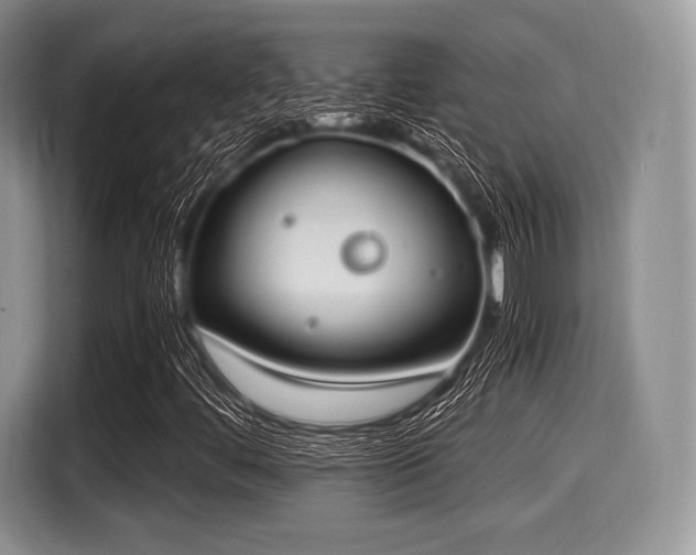 X0000116021444200911271106