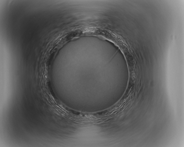 X0000116021445200911271106