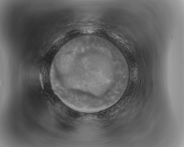 X0000116021446200911271106