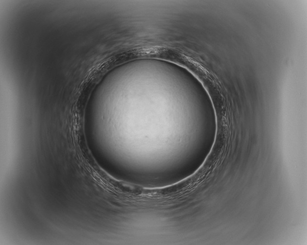 X0000116021447200911271106