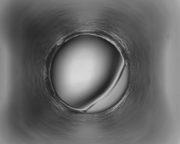 X0000116021449200911271106