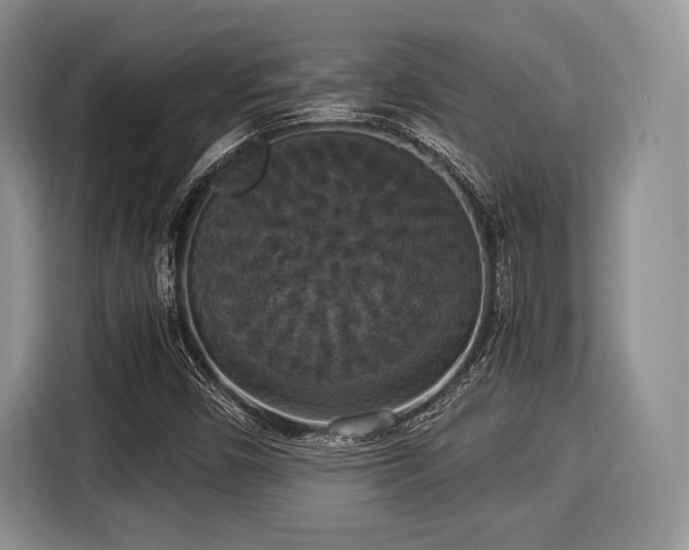 X0000116021450200911271106