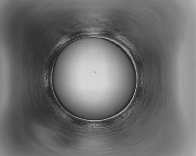 X0000116021451200911271106