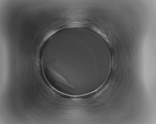 X0000116021453200911271106