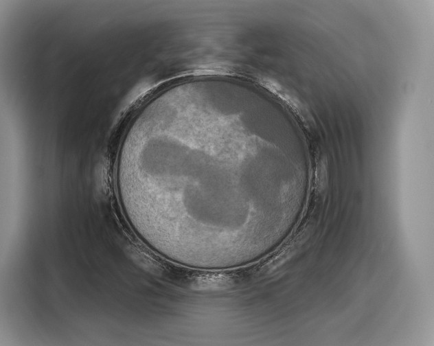 X0000116021454200911271106