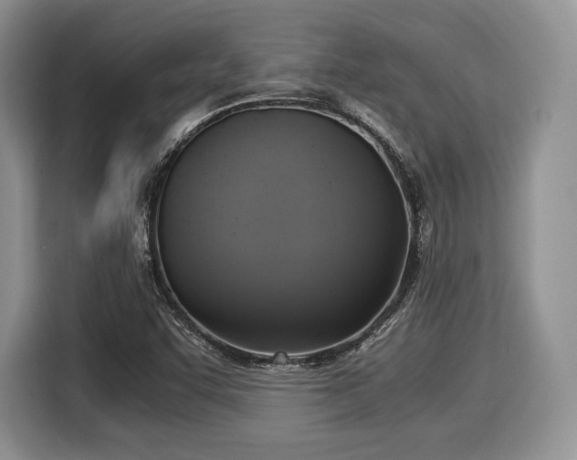 X0000116021455200911271106